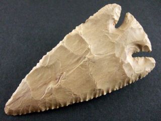 Fine Authentic Collector Grade 10 Kentucky Lost Lake Point Arrowheads 5