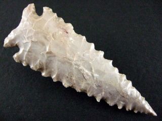 Fine Authentic 3 1/2  Collector Grade 10 Indiana Stilwell Point Arrowheads