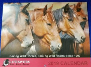 2019 Lifesavers Wild Horse Rescue Wall Calendar