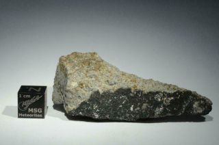 Tamdakt Meteorite Fragment Weighing 43.  3g Fresh Chondrite Fall From 2008