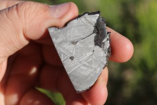 Muonionalusta Meteorite Etched Part Slice 16 Grams