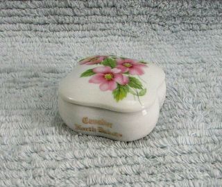 Cavalier Nd Pink Prairie Rose White Porcelain Square Trinket Box Audrey S/h