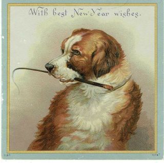 Victorian Year Greetings Card Dog Holding Whip Obpacher Schipper ?