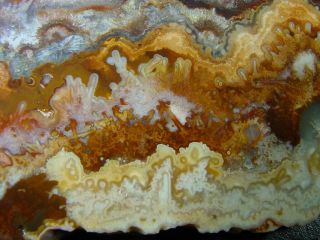 Top Old Stock Mexican Lace Agate Slab