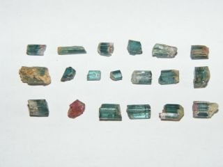 19 Rare Scottish Gem Elbaite Tourmaline Crystals Matrix Glenbuchat Aberdeenshire