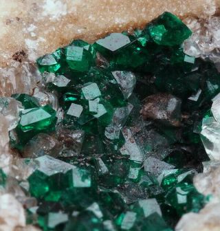 Dioptase - Crystals On Calcite Rare - Kazakhstan /am794