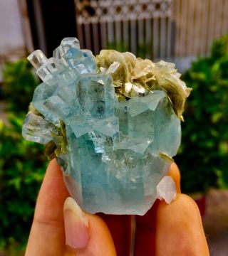 Wow 564 C.  T Top Class Damage Terminated Blue Aquamarine Crystal Bunch