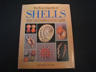 " The Encyclopedia Of Shells " By Kenneth R.  Wye Seashell Reference Book