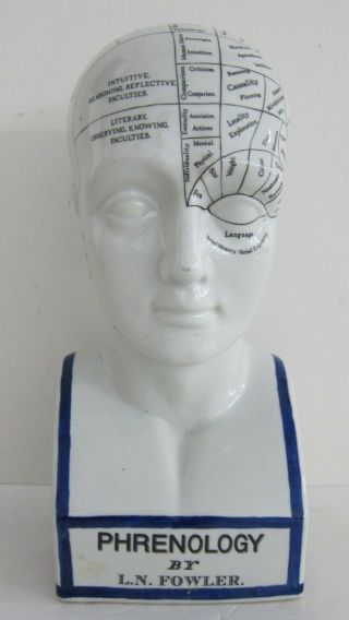 L.  N.  Fowler Porcelain Phrenology Bust Head By Authentic Models Netherlands 11 "