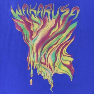 Final 2015 Wakarusa T - Shirt - Defunct Music & Camping Festival Arkansas - (xl)