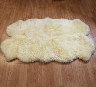 Large Lambskin Rug Pelt 72 " X 44 " By Country Home