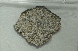 NWA 5018 Meteorite part slice weighing 2.  1g HED Eucrite from asteroid Vesta 2