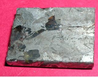 Seymchan Pallasite Meteorite 12.  1 Gram Etched Slice