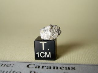 meteorite Carancas,  chondrite H4 - 5,  fresh fragment 0,  74 g,  crust,  crater maker 3