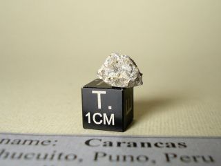meteorite Carancas,  chondrite H4 - 5,  fresh fragment 0,  74 g,  crust,  crater maker 4