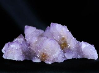 Xl Amethyst Druzy Cactus Quartz Crystal Cluster Spirit Quartz From South Africa
