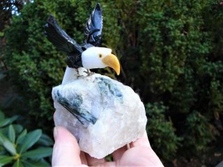 Bald Eagle Carved In Black Onyx - On A Quartz,  Green Tourmaline Base One Of A Kind