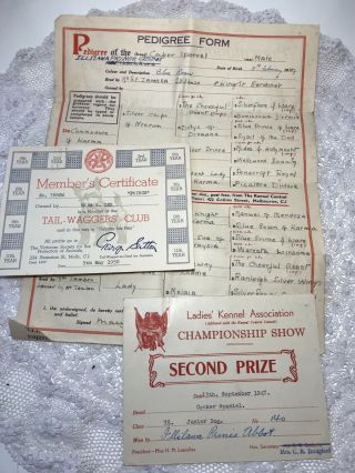Vintage Pedigree Form Cocker Spaniel - 2nd Prize Dog Show & Member’s Certificate