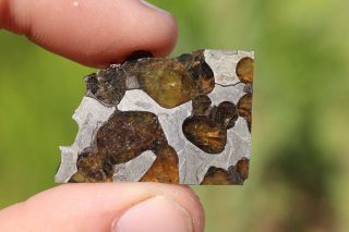 Brenham Meteorite Pallasite Part Slice 4.  3 Grams