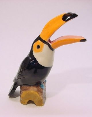 From Australia Pie Bird Funnel/vent Toco Toucan - - A Beauty
