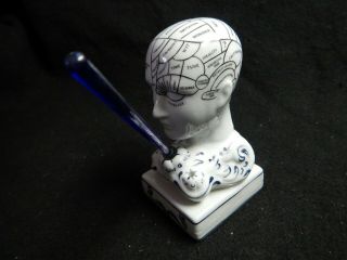 Vintage Phrenology Head W Pointer Authentic Models Creswell Usa