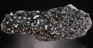 Magnetite - Lustrous Crystals On Matrix - 12 Cm - Bolivia /an304