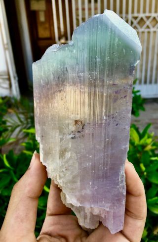 719 Gram Top Quality Terminated Bi Color Kunzite Crystal @Afghanistan 2
