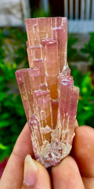 24 C.  T Top Class Damage Terminated Pink Tourmaline Bunches Crystal