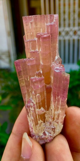 24 C.  T Top Class Damage Terminated Pink Tourmaline Bunches Crystal 2
