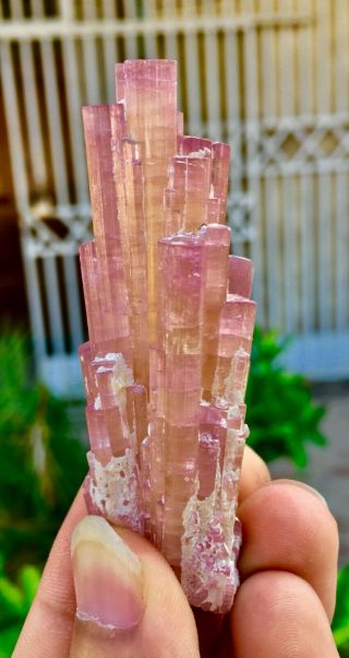24 C.  T Top Class Damage Terminated Pink Tourmaline Bunches Crystal 3