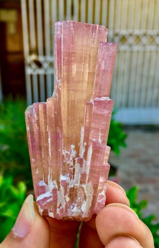 24 C.  T Top Class Damage Terminated Pink Tourmaline Bunches Crystal 4