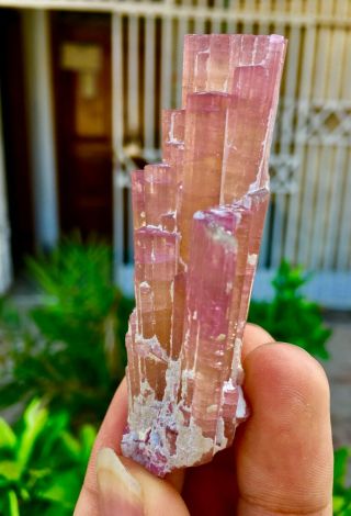 24 C.  T Top Class Damage Terminated Pink Tourmaline Bunches Crystal 5