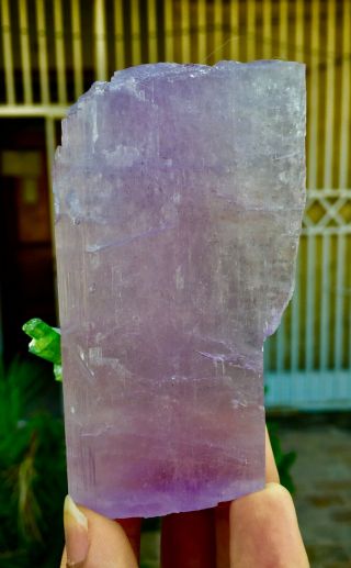 1490 C.  T Top Quality Damage Terminated Tourmaline On Pink Kunzite Crystal