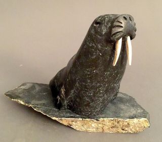 Inuit Art Eskimo Carving Sculpture Stone Collector Walrus Taloyoak 96127 2000