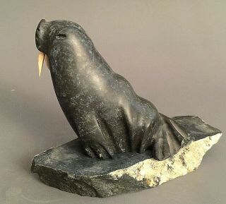 Inuit Art Eskimo Carving Sculpture stone collector Walrus Taloyoak 96127 2000 5