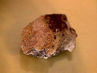 NWA 5000 Lunar Meteorite W/ BrownFusion Crust 2