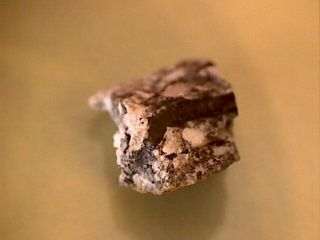 NWA 5000 Lunar Meteorite W/ BrownFusion Crust 3
