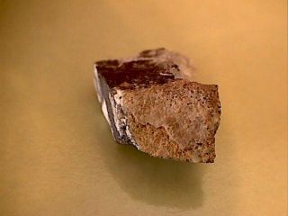 NWA 5000 Lunar Meteorite W/ BrownFusion Crust 4