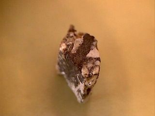 NWA 5000 Lunar Meteorite W/ BrownFusion Crust 5