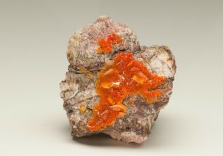 Fine Mineral Specimen Wulfenite With Mimetite - Rowley Mine,  Arizona,  Usa -