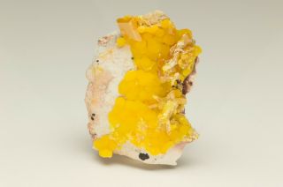 Fine Mineral Specimen Wulfenite With Mimetite - La Morita Mine,  Mexico - Find