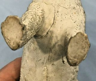 Antique Germany Paper Mache Bunny Candy Container w/ Glass Eye 8