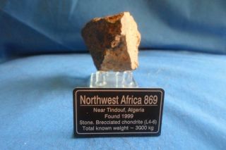 Nwa 869 North West Africa Chondrite 4.  1 Oz 116 Grams Meteorite Museum Quality