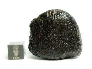 Nwa X Meteorite 50.  33g Superbly Shaped Stony Space Rock