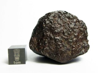 NWA x Meteorite 50.  33g Superbly Shaped Stony Space Rock 2