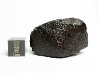 NWA x Meteorite 50.  33g Superbly Shaped Stony Space Rock 3