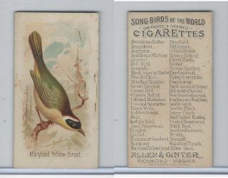 N23 Allen & Ginter,  Song Birds Of The World,  1890,  Maryland Yellow Throat