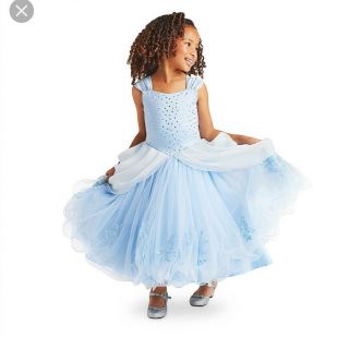 Cinderella Signature Dress Plus Day Dress - Size 6