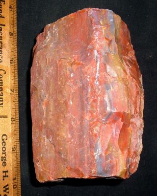 Large Chunk (2.  5 Lbs) Colorful Rainbow Petrified Wood Arizona,  200 Million Years