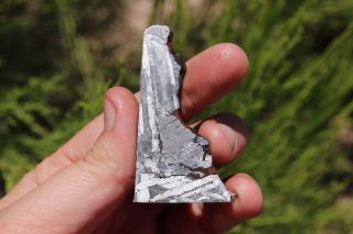 Seymchan Meteorite Part Slice 24.  4 Grams